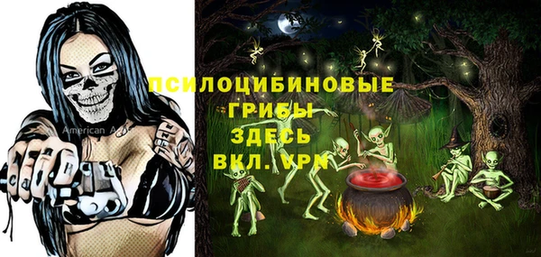 мескалин Переславль-Залесский