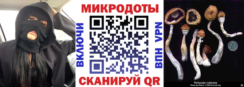 Псилоцибиновые грибы прущие грибы  Купить где  Камень-на-Оби 